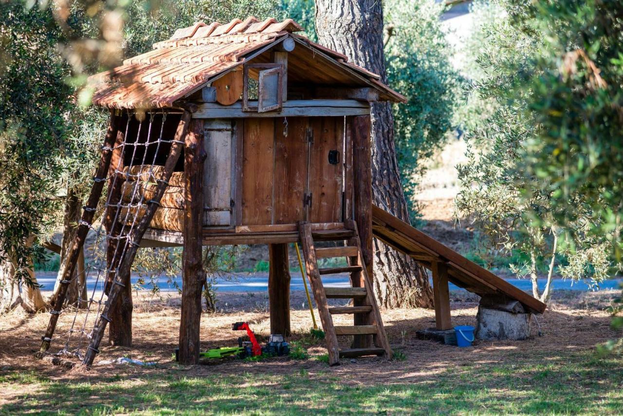 Agriturismo Fontetrilla Орбетело Екстериор снимка